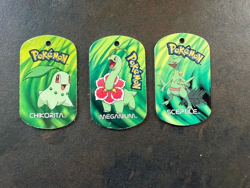 Pokemon metal tags - pokemon,