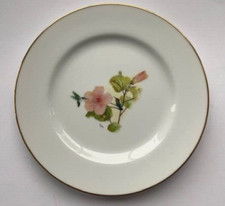 GLEN LOATES Pink HIBISCUS &