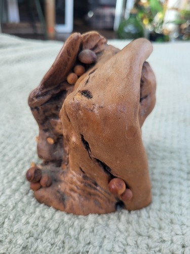 Manzanita root from south - root,
