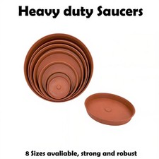 Plant pot saucer - plant,