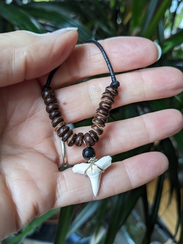 Real shark tooth necklace - real,