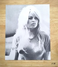 Brigitte Bardot  Glossy Black And White Photograph Vintage  20.5cm   x  25.5cm