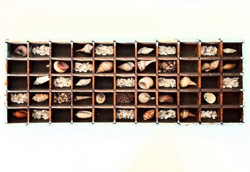 Drawer wood type tray - wood, lined