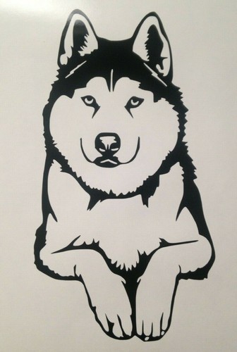 Wolf husky dog vinyl - husky,