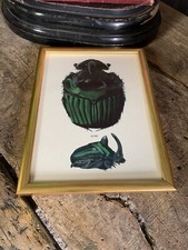 Antique Gold Framed Beetle Bug Picture Print Bookplate Insect Natural History 22
