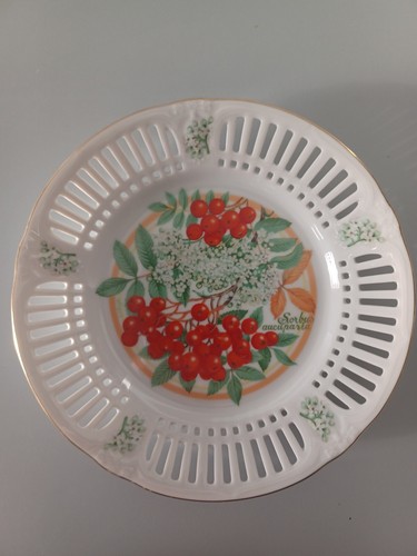 Schumann arzberg plate - arzberg,