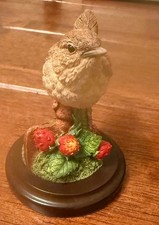 Country Artists Wren With Wild