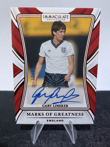 Panini immaculate 2024 - immaculate, 2024/25