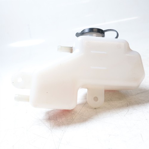 2020 aprilia rs125 coolant - rs125,