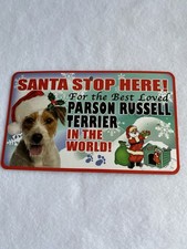 Parsons Russell Terrier