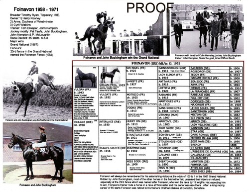 Grand national winner - grand, race