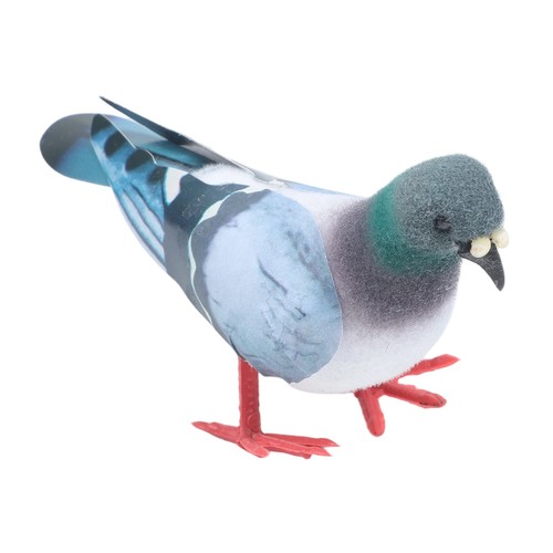 Practical simulation pigeon - practical,