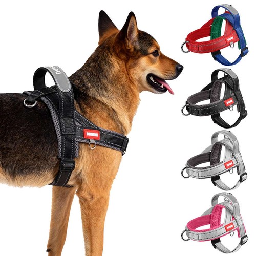 Dog pet vest harness pull - dog, no
