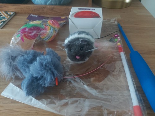 Cat toys bundle - toys,