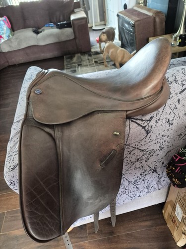 Inch brown english - brown,