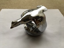 GREENLAND Co GLENDALE