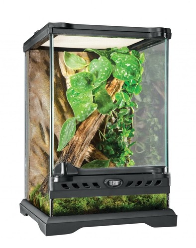 Exo terra 8x8x12 - exo, inch