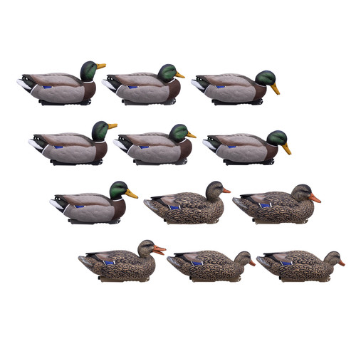 High definition mallard - high,