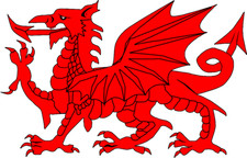 Welsh Dragon NESSA Gavin &