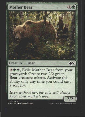 Mother bear 171 - bear, modern