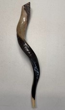 Shofar Yemenite Kudu Horn