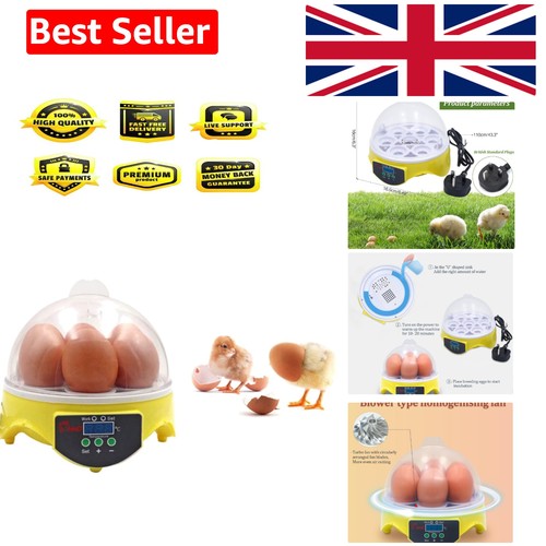 Automatic mini chicken egg - chicken,