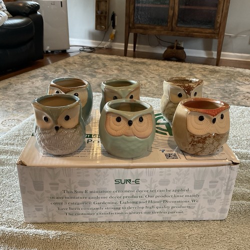 Sun owl ceramic bonsai pots - ceramic,