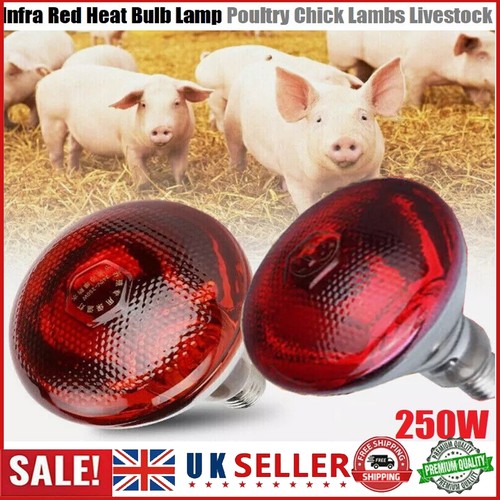 4pcs infrared heat - infrared, bulb