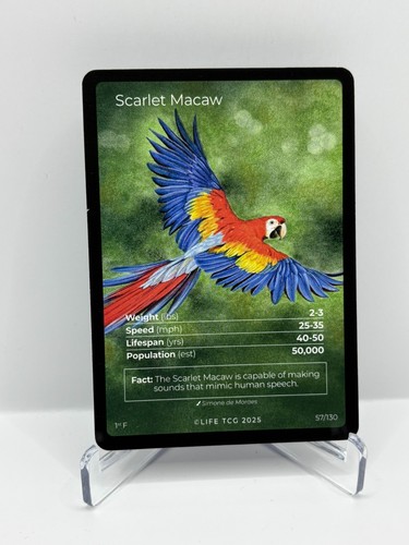 2025 life tcg birds - 2025,