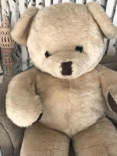 Extra large display teddy bear - extra,