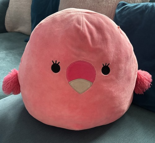 Cookie the pink flamingo - cookie, bird