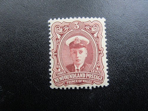 Newfoundland sg119 nice - sg119,