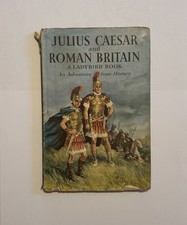 Vintage Ladybird - Julius