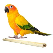 Happy Pet Wooden Perch for