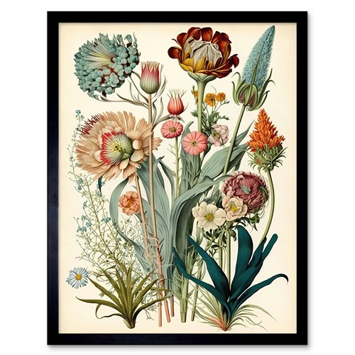 Haeckel inspired vintage - inspired,