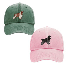 BLUE OR ORANGE ROAN COCKER