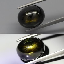 Golden Star! 12Rays Natural