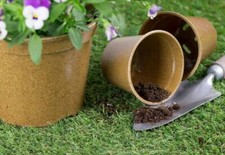 10.5cm Growing Biodegradable