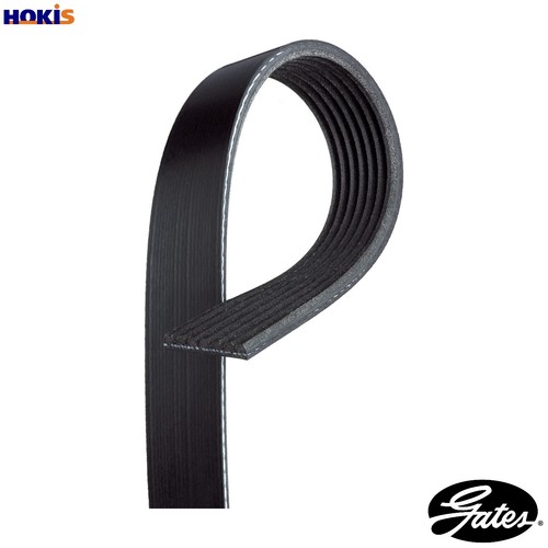 Vribbed belt 7pk810 for - vribbed,