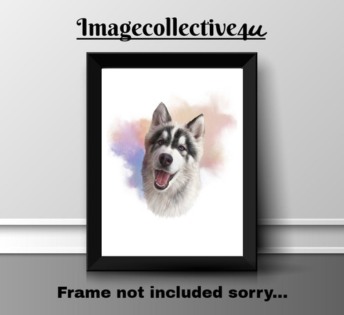 Alaskan husky dog pet print - husky,