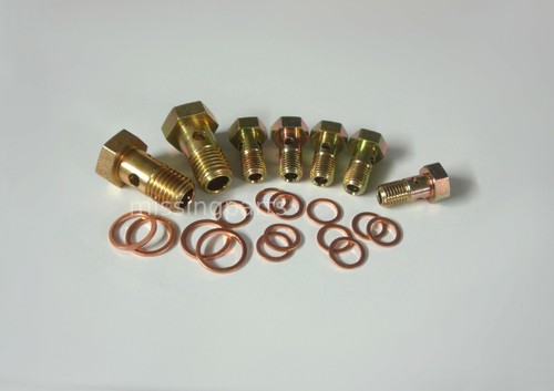 Banjo bolt set fuel - bolt,