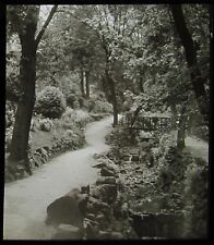 VINTAGE Magic Lantern Slide