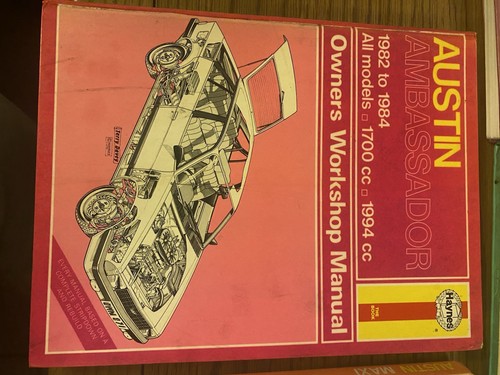 Haynes austin ambassador - haynes,