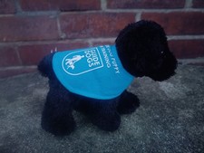 Guide Dog Puppy Training
