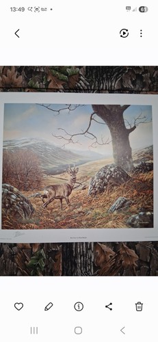 Hans bulder print roe deer - hans,