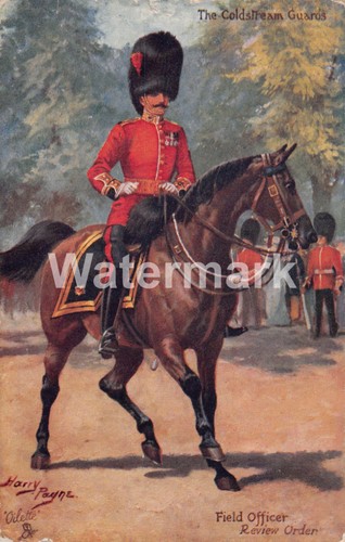 0009 coldstream guards field - coldstream, guards.