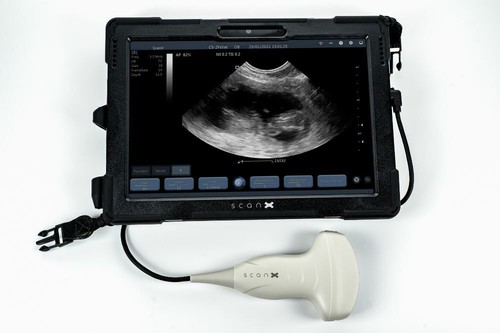 Scanx veterinary ultrasound - scanx,