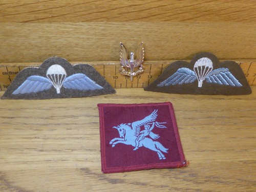 Parachute regiment wings - x, 2
