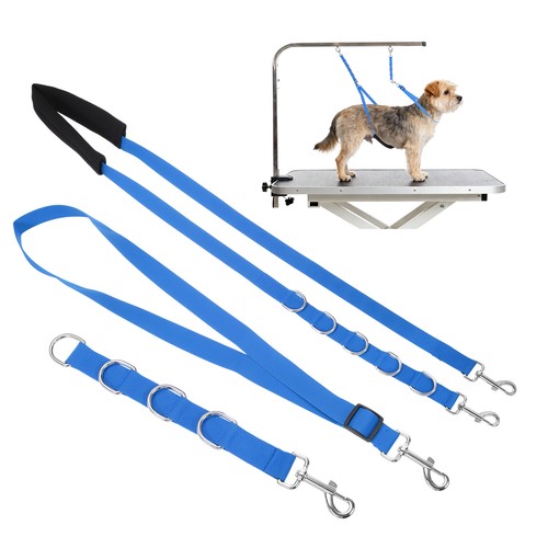 Dog grooming belly - dog,