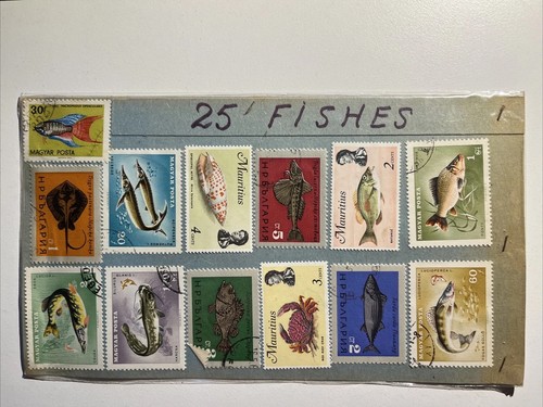 Fish marine life packet - fish,
